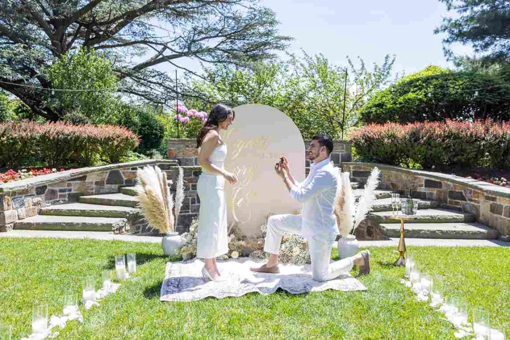 Proposal city view