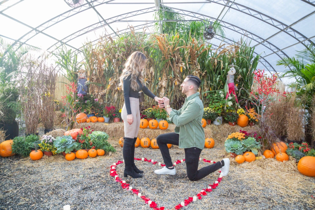 Proposal bridge scene