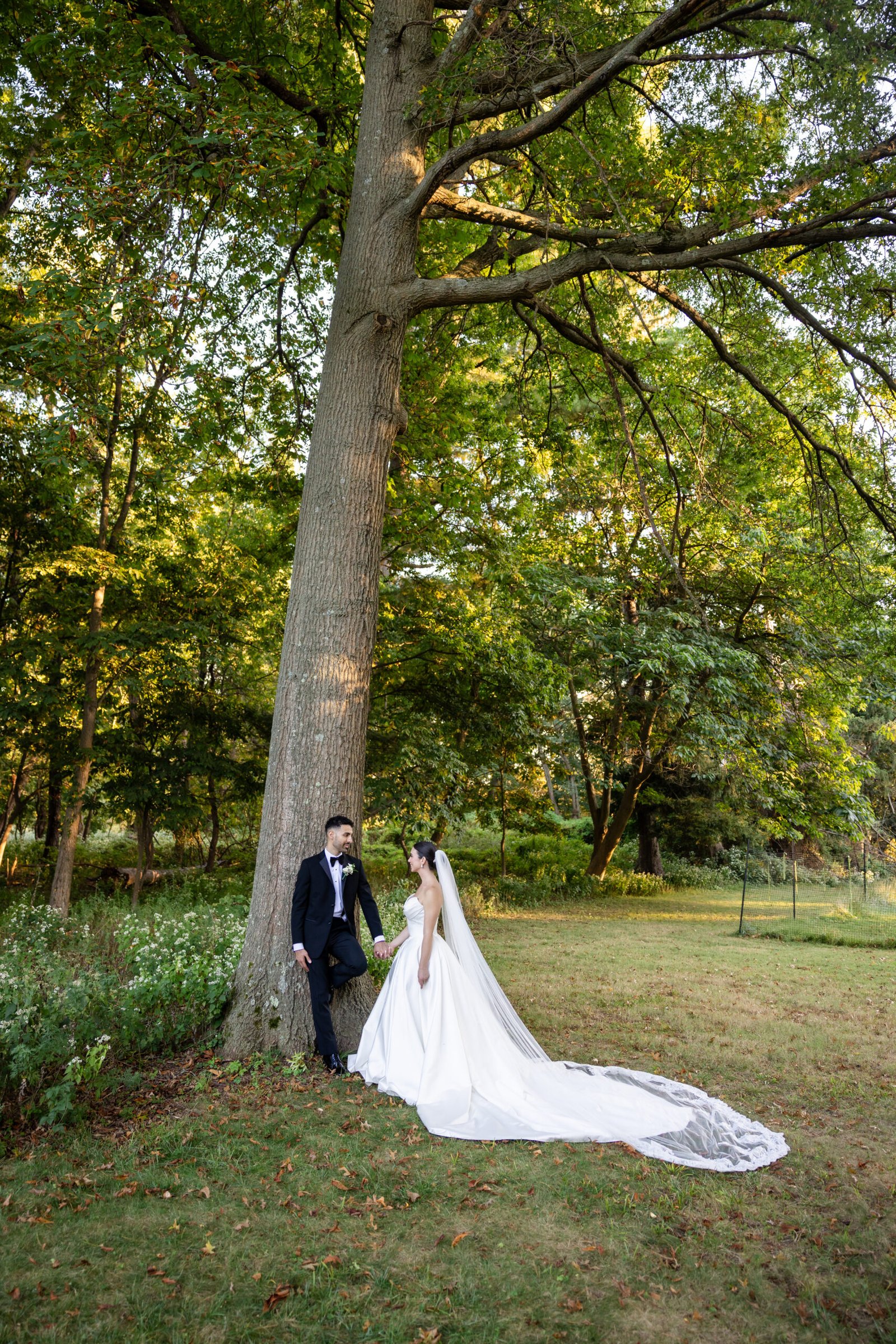 Wedding portfolio
