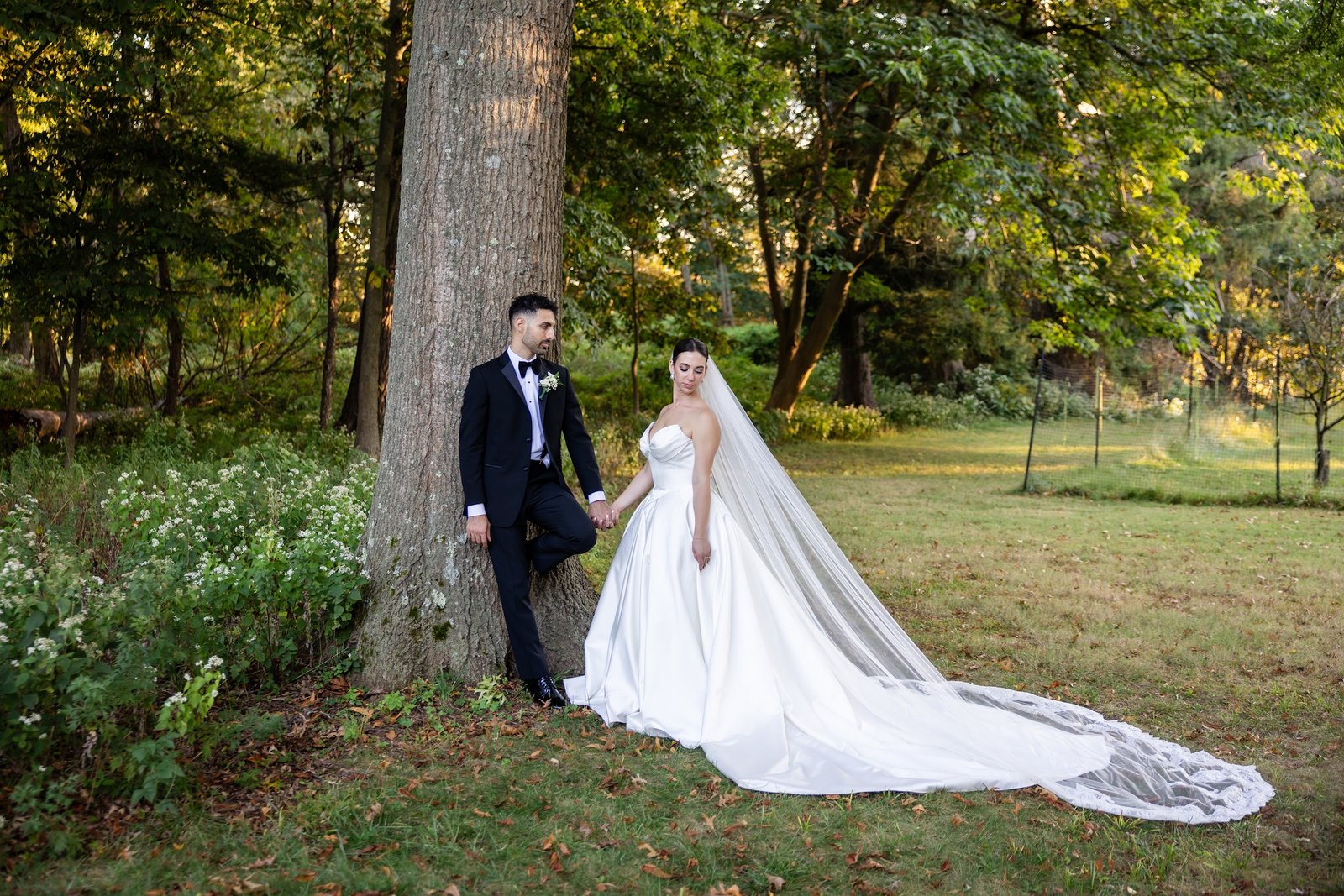 Bride and groom portrait beneath the trees